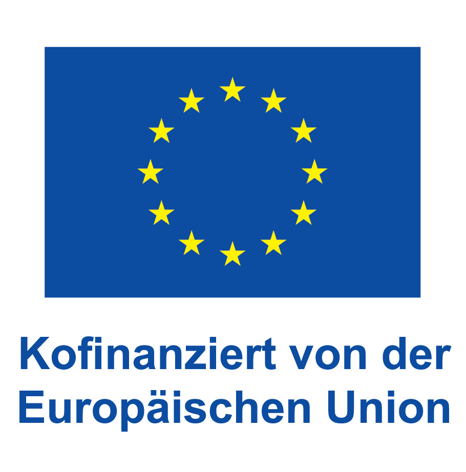 Logo des Europäischen Sozialfonds (ESF)